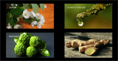 Parfum d'ambiance au jasmin et à la bergamote - Le Bel Indifférent - Lorenza-difilippo.fr