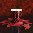 Montana porcelaine de Limoges marron, rouge et or, ambiance feuilles rouges, sur table
