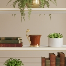 Bougie tasse Royale, ambiance étagère, livres et plantes