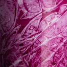 Détail texture Adélaïde Pourpre, décor craquelé peint main Limoges