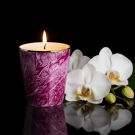 Pot à bougie Adélaïde Pourpre Limoges, filet platine, ambiance fleurie