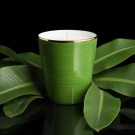 Pot à bougie Vert Limoges allumé, décor feuilles exotiques et nature