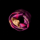 Carré de soie La Montgolfière Rose, motif enroulé sur fond noir