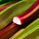 Tige de rhubarbe, note de cœur fruitée du parfum d’intérieur Plaisir des Sens