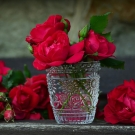 Roses rouges, note de cœur florale du parfum d’intérieur L’Ensorceleuse