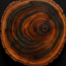 Bois de gaïac aux veinures sombres et chaudes, note boisée profonde en fond du parfum d’ambiance Nirvana aux accords thé