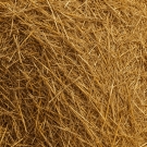 Texture de foin doré apportant une note chaleureuse et aromatique en fond du parfum d’ambiance Nirvana