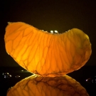 Quartier de mandarine, note de tête fruitée du parfum d’ambiance La Flamboyante