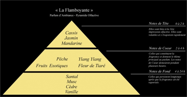 Pyramide olfactive Parfum d'ambiance La Flamboyante - Lorenza-difilippo.fr