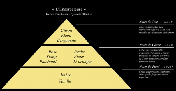 Pyramide olfactive Parfum d'ambiance L'Ensorceleuse - Lorenza-difilippo.fr