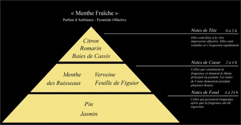 Pyramide olfactive Parfum d'ambiance Menthe Fraîche - Lorenza-difilippo.fr