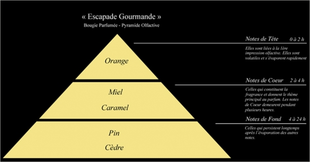Pyramide olfactive bougie parfumée Escapade Gourmande - Lorenza-difilippo.fr