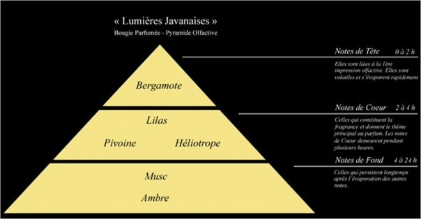 Pyramide olfactive bougie parfumée Lumières Javanaises - Lorenza-difilippo.fr