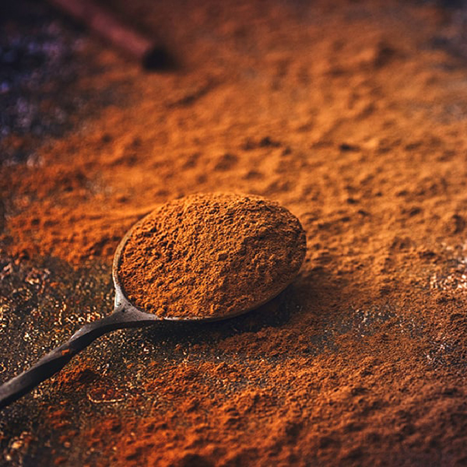 Cannelle en poudre aux notes chaudes et épicées