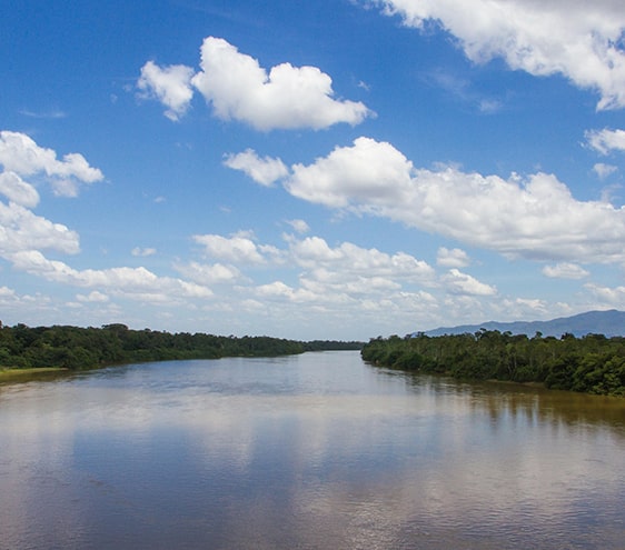 Paysage d’Amazonie évoquant la nature et la biodiversité