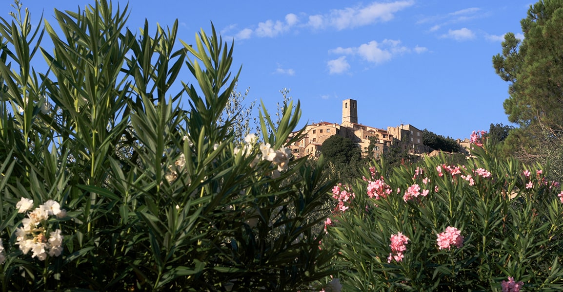 Vue sur la ville de Grasse, capitale mondiale du parfum